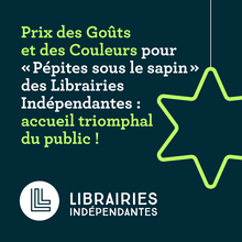 Communication Librairies Indépendantes Noël 2024