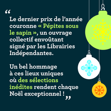 Communication Librairies Indépendantes Noël 2024